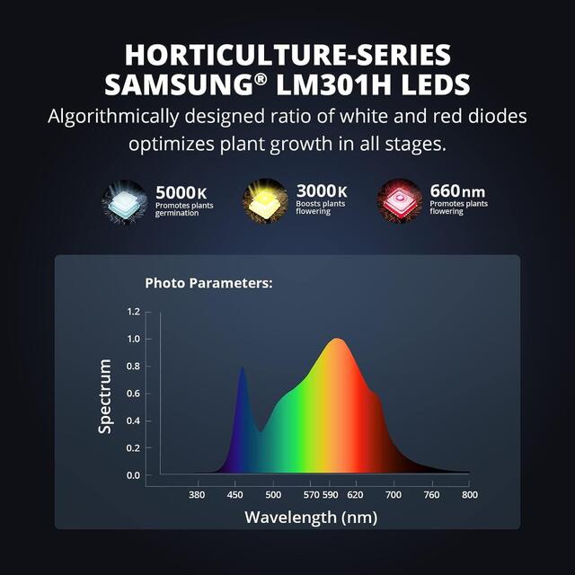 Espectro de los diodos Samsung LM301H (5000 K + 3000 K) y Osram 660 nm: luz blanca completa con refuerzo rojo para la floración.